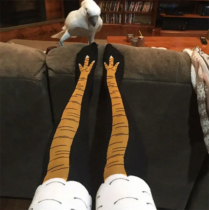 40 Paar 3d Grappige Kip Klauw  - Funny Chicken Leg Socks recensie en prijs